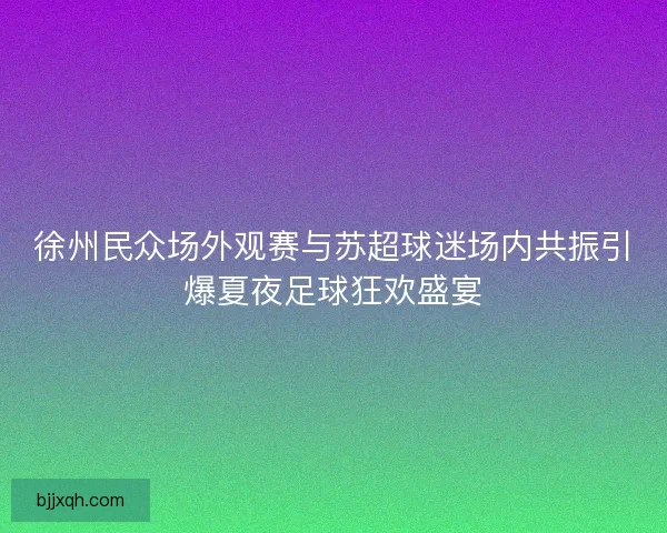 徐州民众场外观赛与苏超球迷场内共振引爆夏夜足球狂欢盛宴